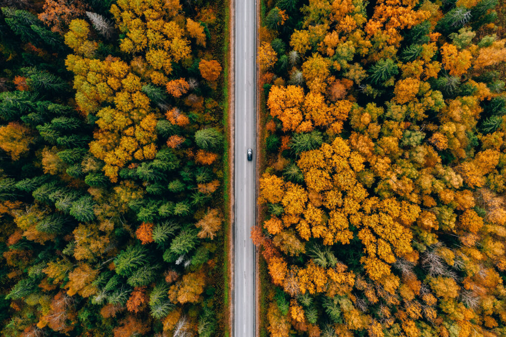 Ilmakuva syksyisestä metsästä, jota halkoo autotie.