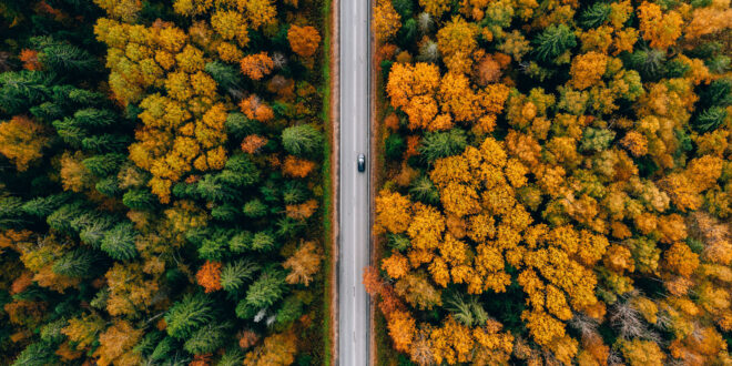 Ilmakuva syksyisestä metsästä, jota halkoo autotie.