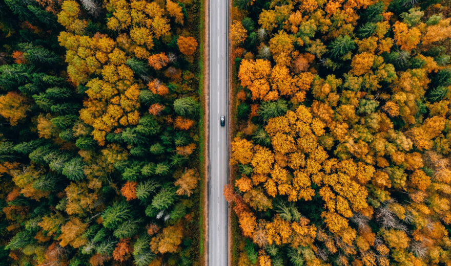 Ilmakuva syksyisestä metsästä, jota halkoo autotie.